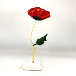 Παπαρούνα κόκκινη μονή